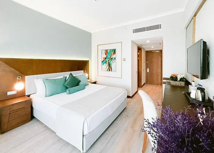Ilica & Wellness Complex Çeşme